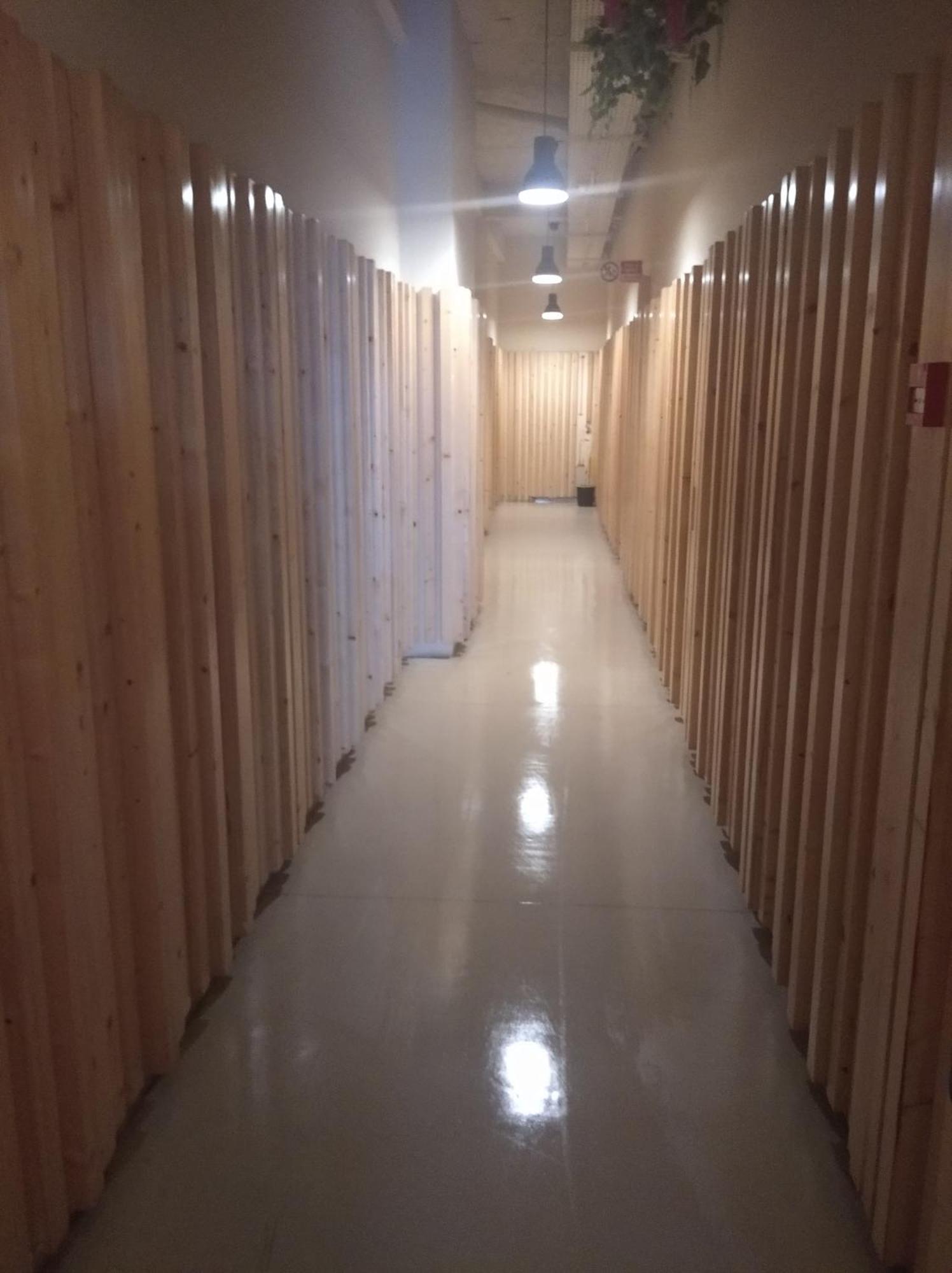 Porto Estudio Campanha المظهر الخارجي الصورة